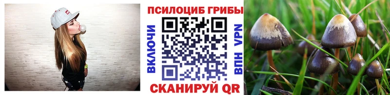 Псилоцибиновые грибы ЛСД  ссылка на мегу маркетплейс  Тутаев 